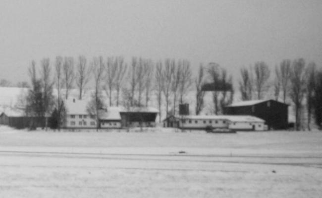 Birkenhof Winter
